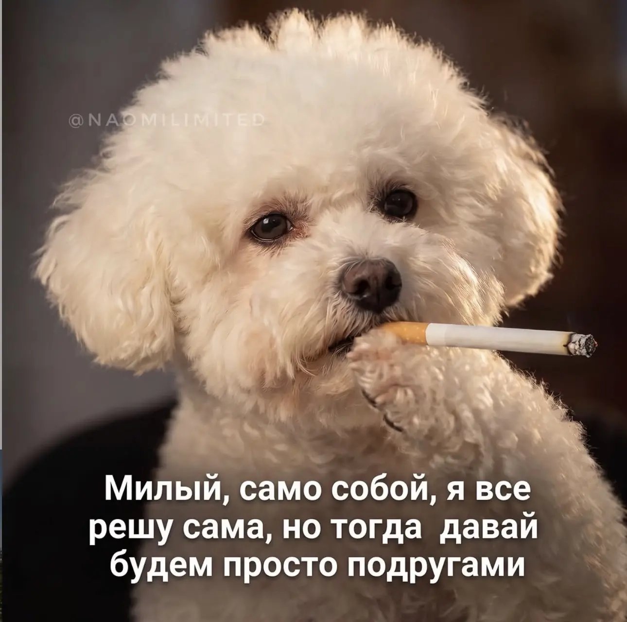 Немного юмора 😏