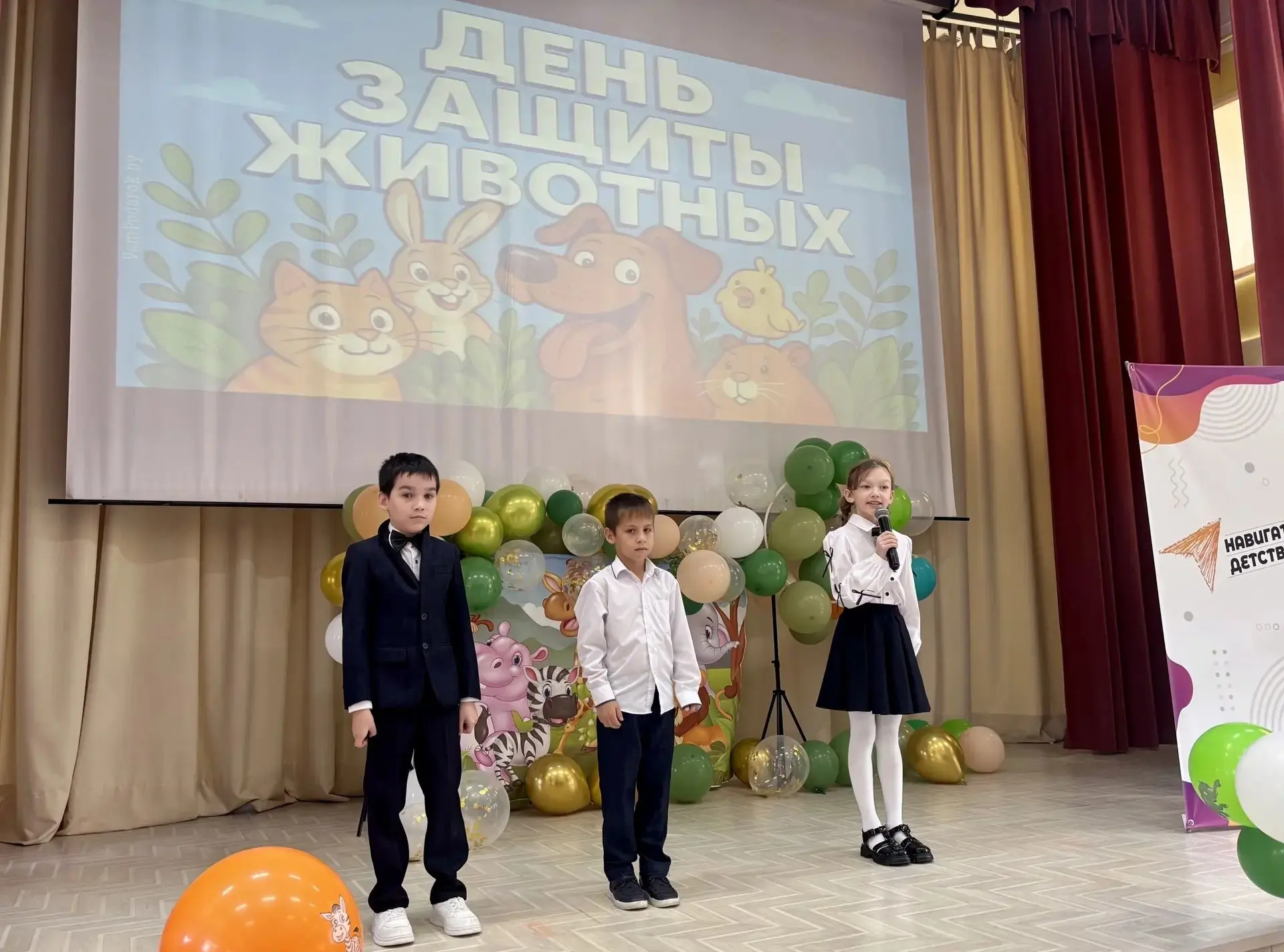 🎉🐕🐱 4 октября мы отмечаем особенный день — День защиты животных! ❤️ В преддверии это...