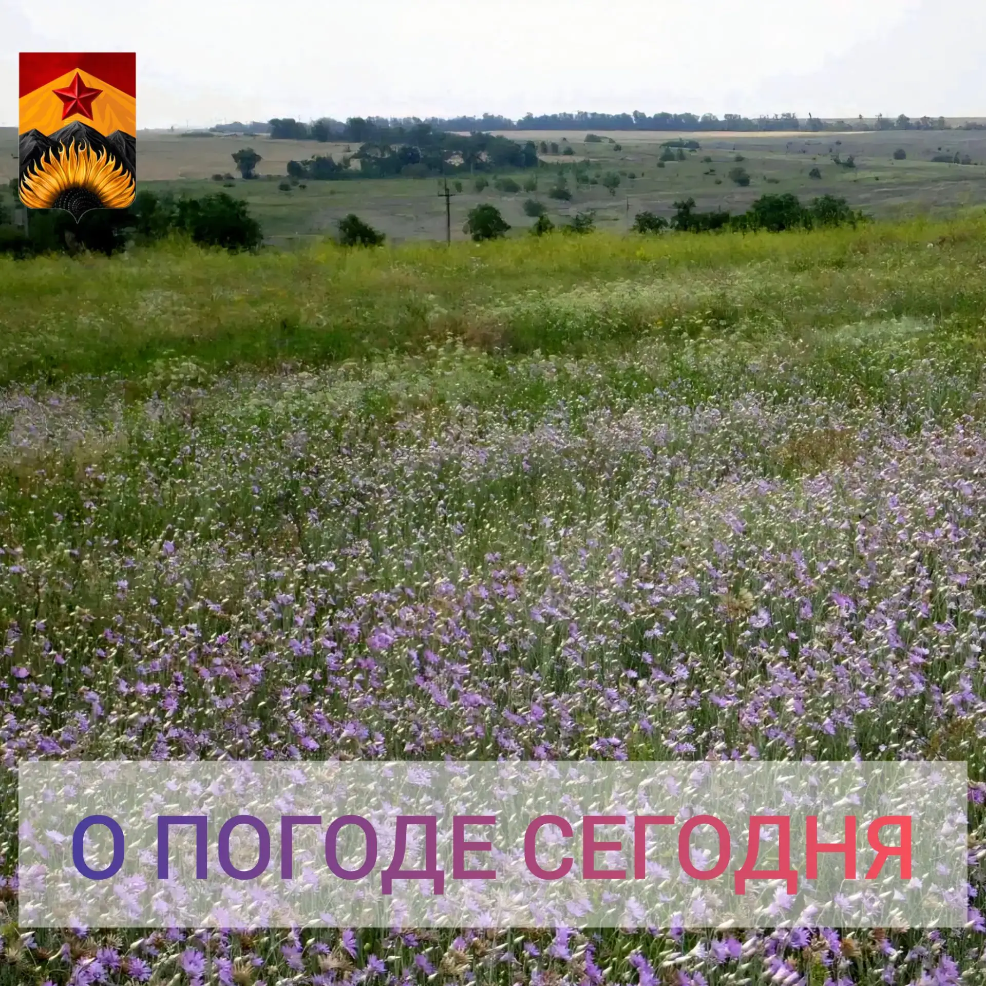 Гидрометцентр сообщил о погоде в Шахтерском округе