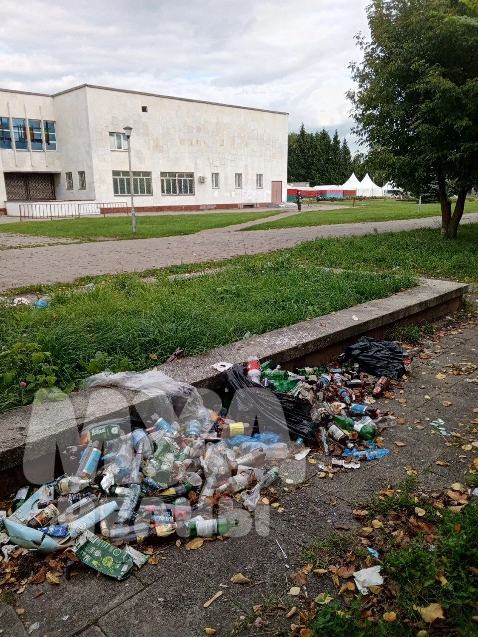 Территория вокруг ДК Камаза превратилась в пристанище синеботов.