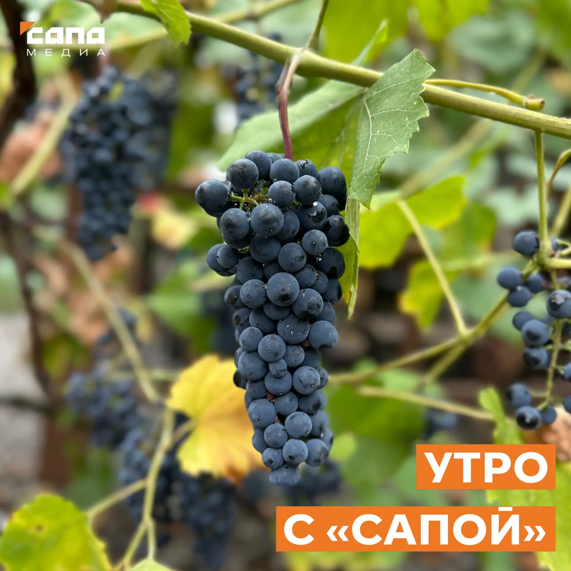 Информация, которая может тебе пригодиться