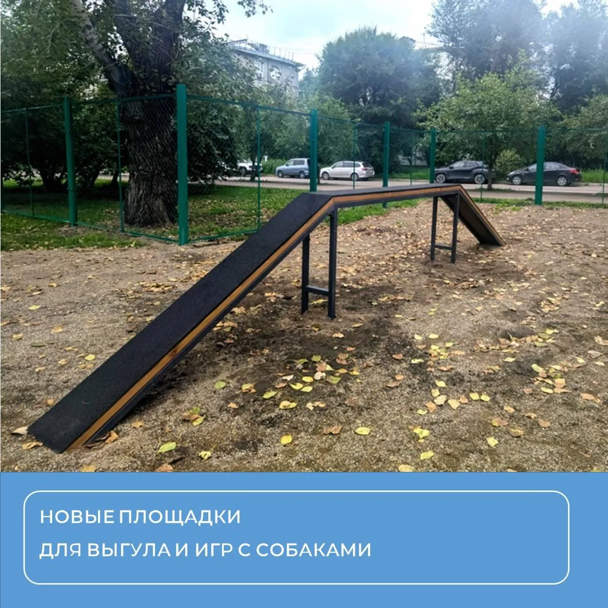 Новые площадки для выгула и игр с собаками начали благоустраивать в Красноярске