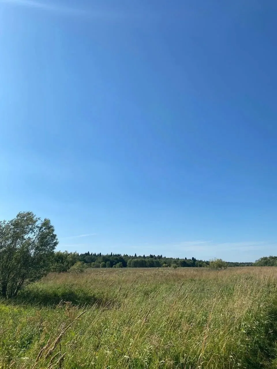 Поделитесь летними впечатлениями ☀