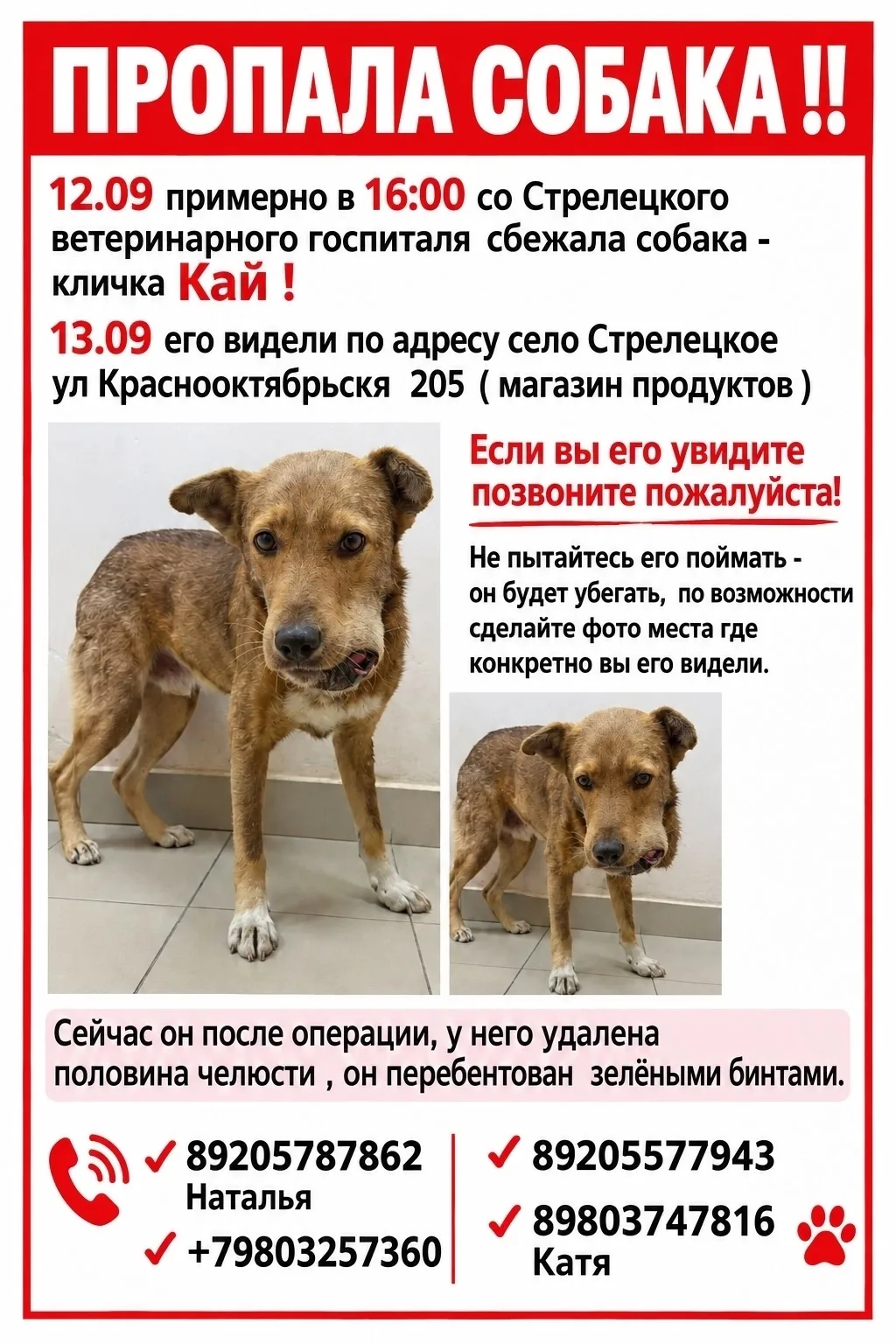 ‼️‼️‼️ВНИМАНИЕ ‼️‼️‼️