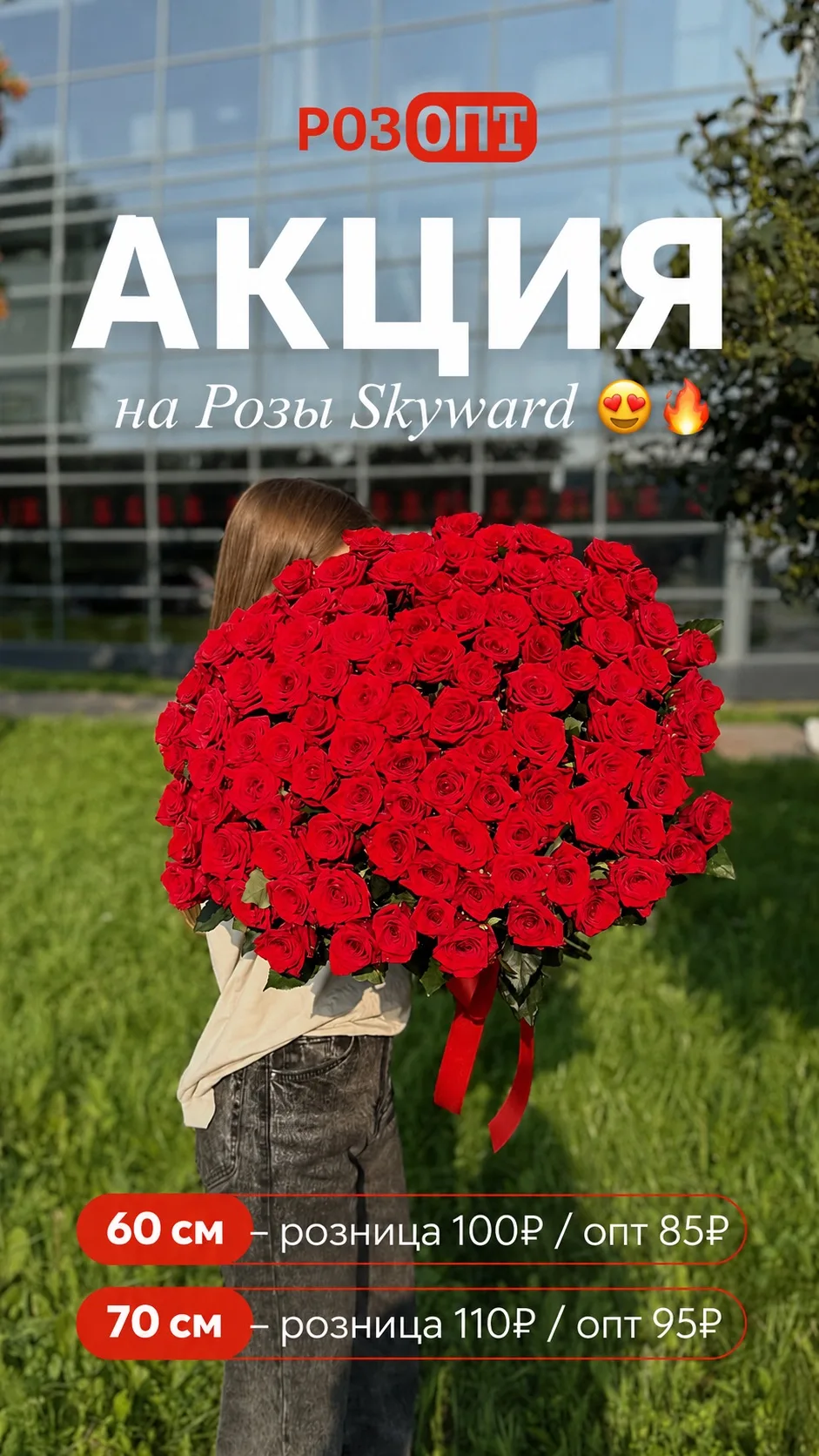 АКЦИЯ на Розы Skyward 😍🔥

60 см - розница 100₽/ опт 85₽
70 см - розница 110₽/ опт 95₽

РОЗЫ 60 см 