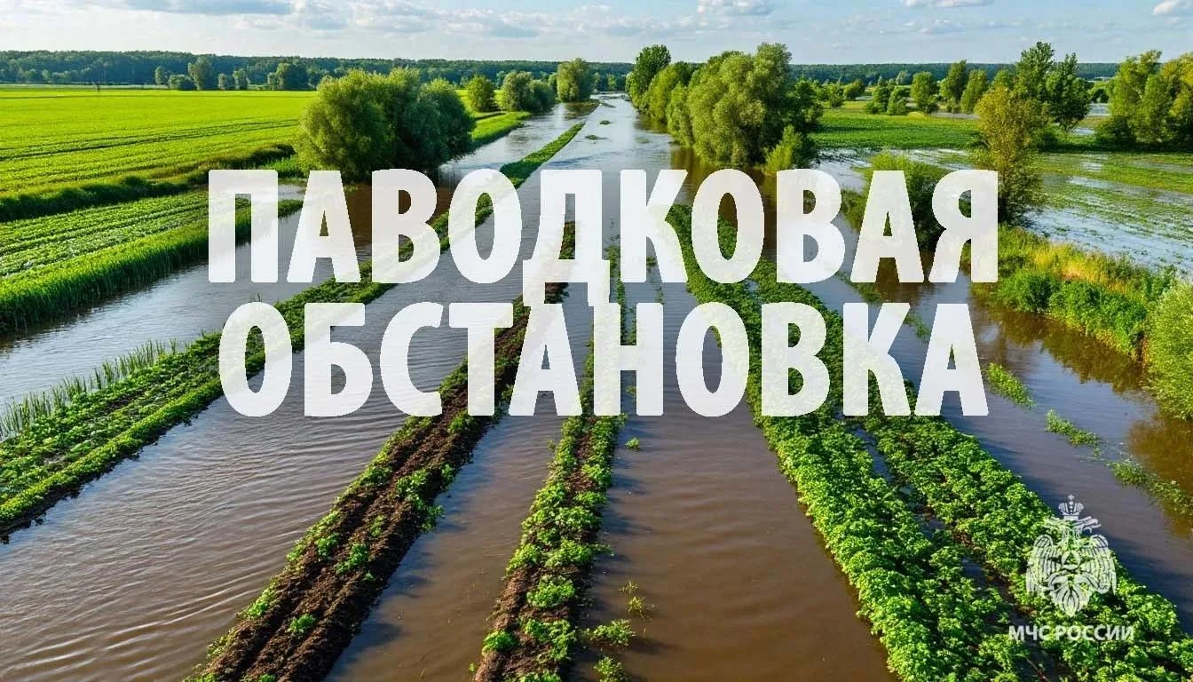 Гидрологическая обстановка в Хабаровском крае находится на контроле специалистов МЧС Ро...