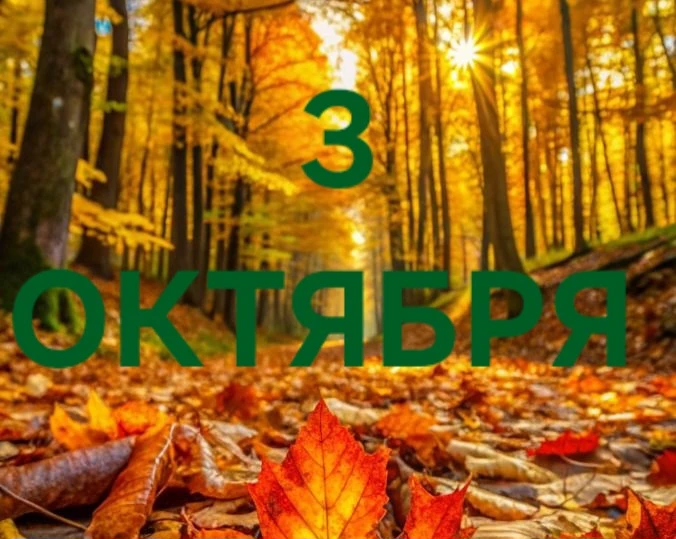 3 Октября: День коммуникации, динамики, перемен и новых впечатлений! ❤️🤗👫