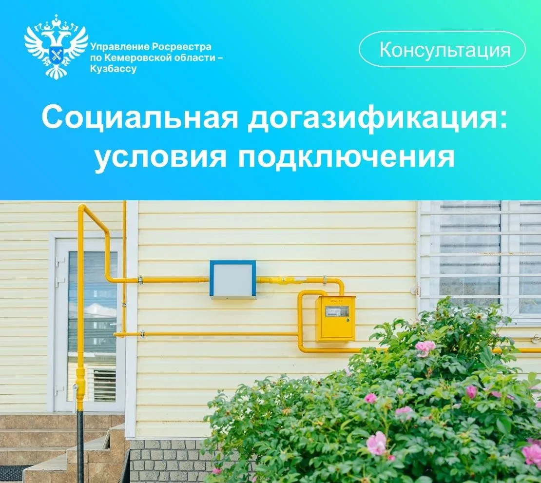 🏘️ В Кузбассе 98 садовых некоммерческих товариществ (СНТ) находятся в границах населен...