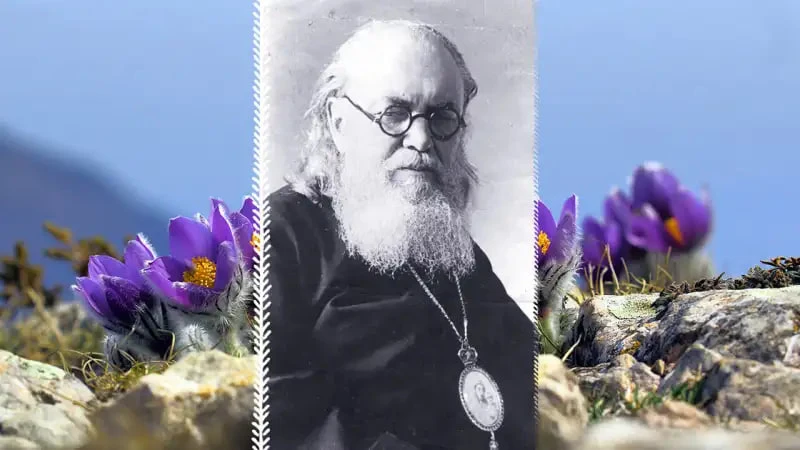 С Праздником святителя и исповедника ХХ архиепископа Симферопольского и Крымского Луки! Удивительный