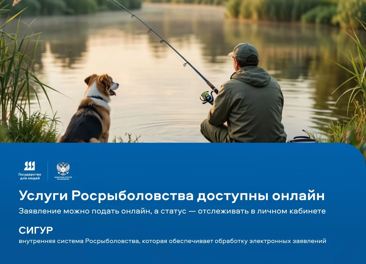 Цифровые технологии Росрыболовства: удобно рыбакам-любителям и бизнесу 

Росрыболовство руководствуе