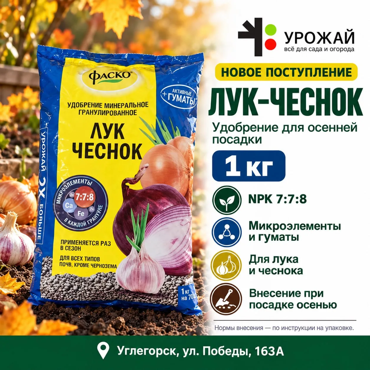 🧄 Собираетесь сажать чеснок под зиму? Подготовьте и грядку!
