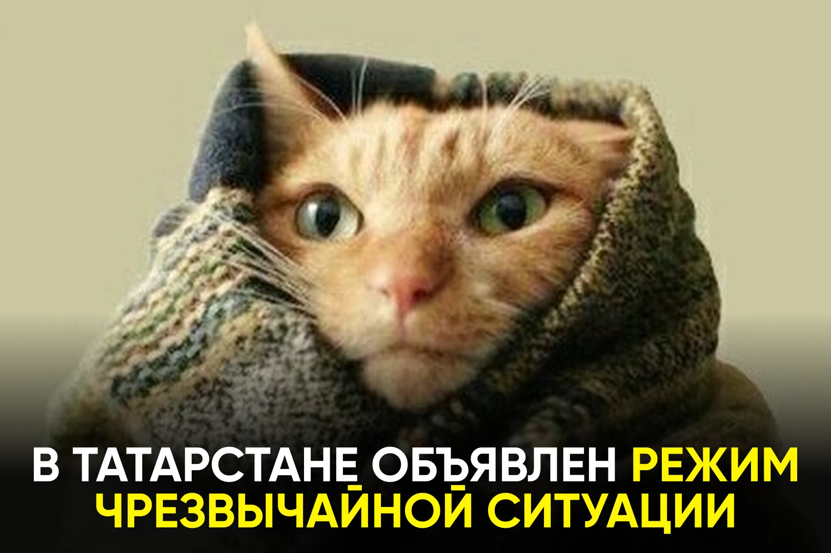 Особые меры введены в 41 районе Республики.