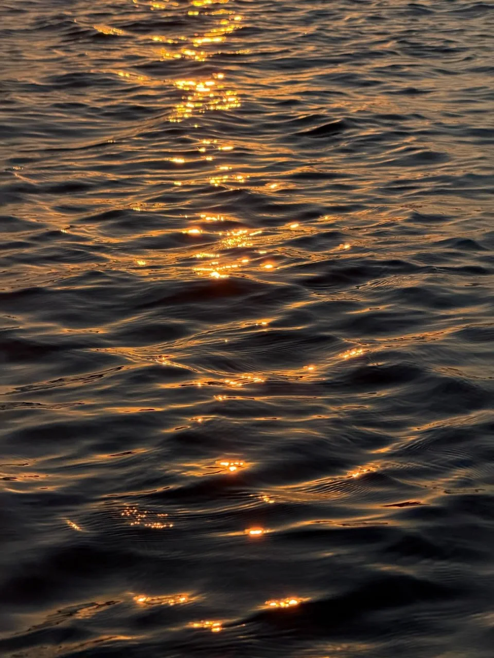 🌅Судак.