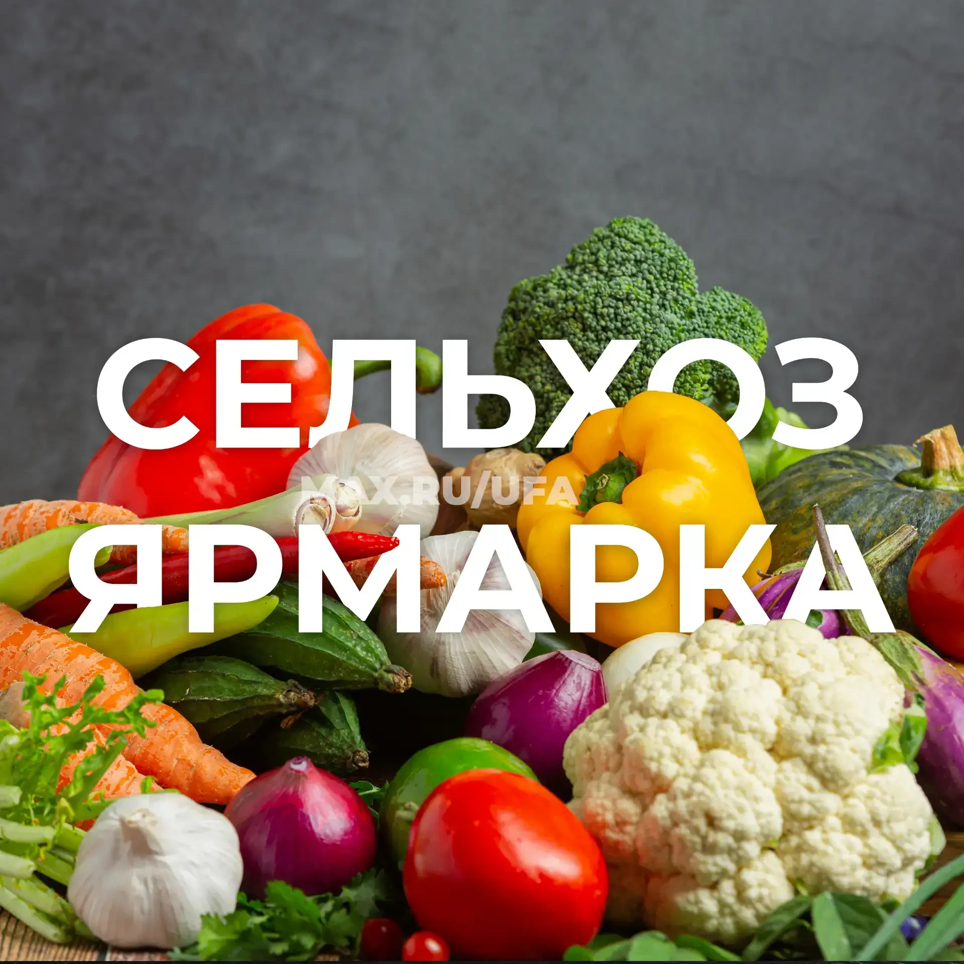 В Уфе пройдут сельскохозяйственные ярмарки