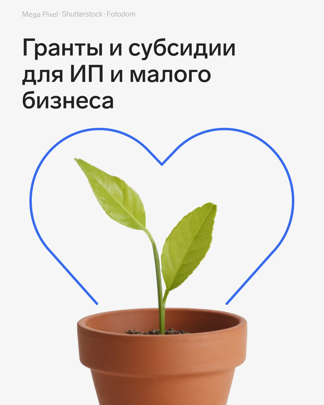 💸 Гранты и субсидии для ИП и малого бизнеса в 2026 году
