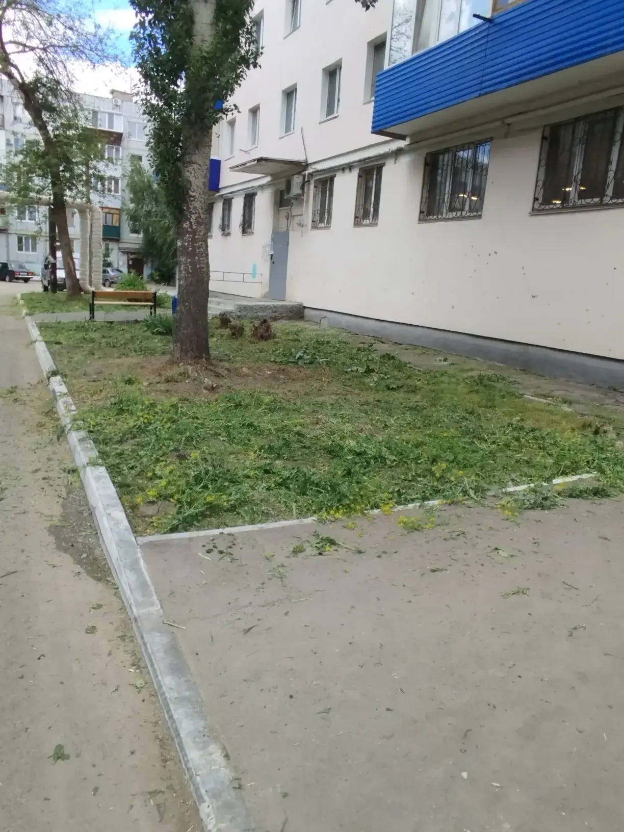 29.05.26 Плановый покос травы по адресу: ул. Таганрогская, 20