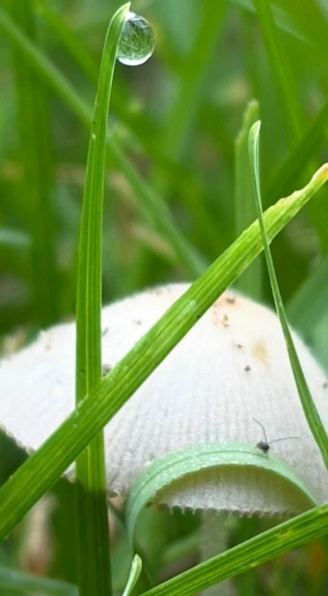 🌿 Дорогие друзья! Подведены итоги фотоконкурса «Природа просыпается»! 
⁣
❤️   Благодарим всех участ