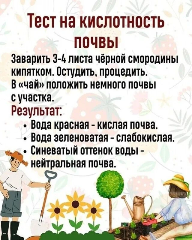 Тест на кислотность почвы 👍

🌱 Дача Сад Огород подписаться
