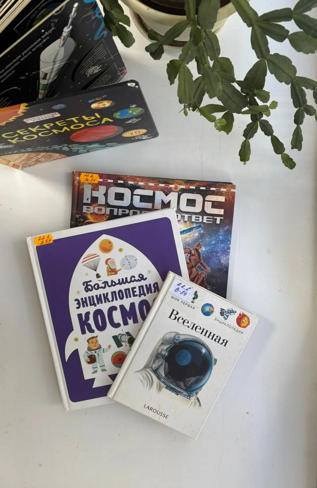 💫Интеллектуальный марафон «Семь дней в лабиринте знаний» пройдёт в Силино