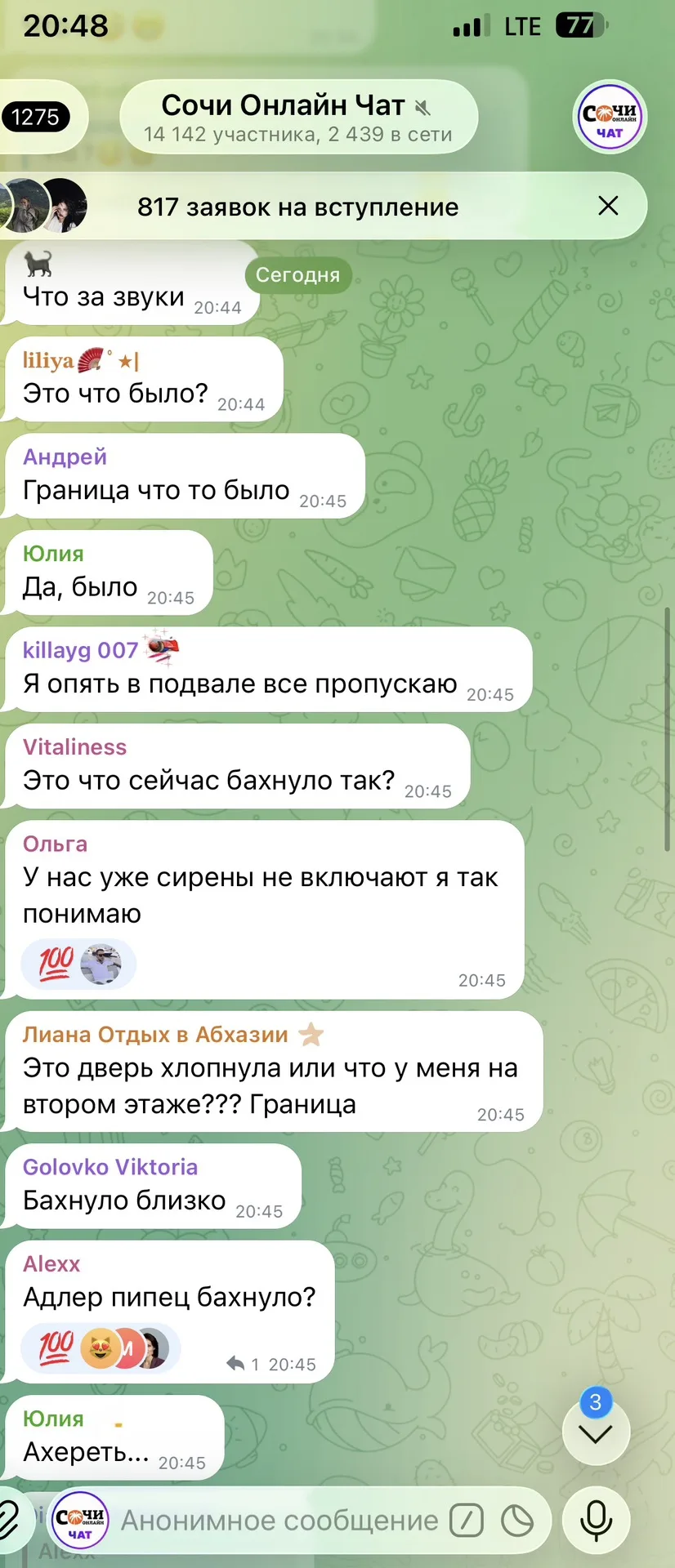Официальные органы власти Сочи и Сириуса никак не комментируют инцидент. Что это было н...