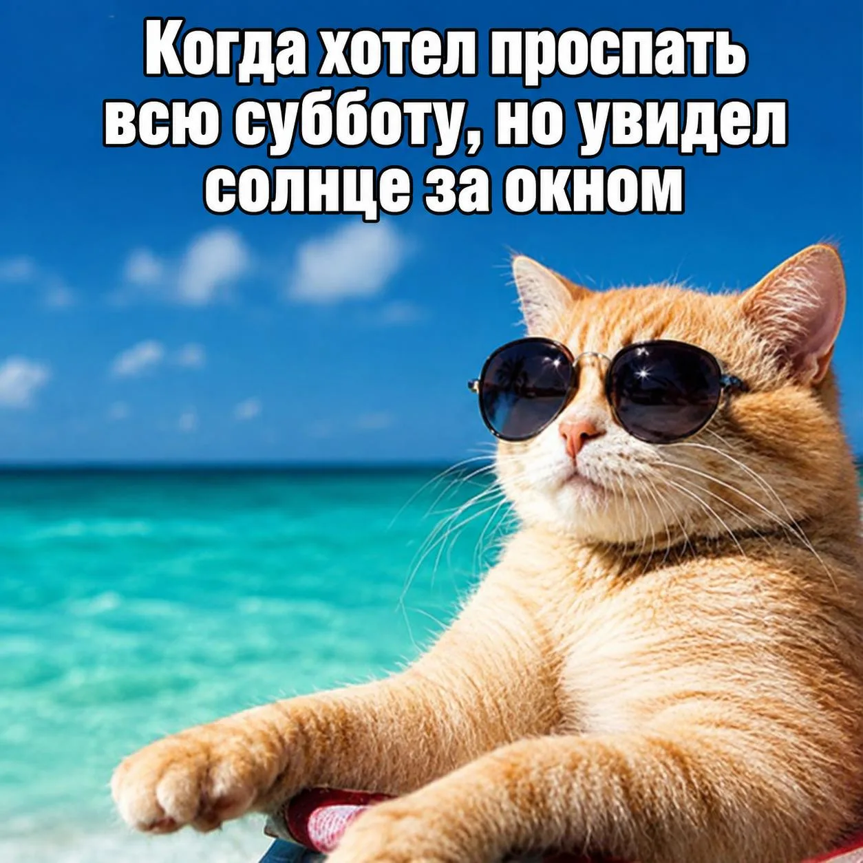 В субботу в столице ожидается ясная и солнечная погода. Синоптики обещают отсутствие ос...