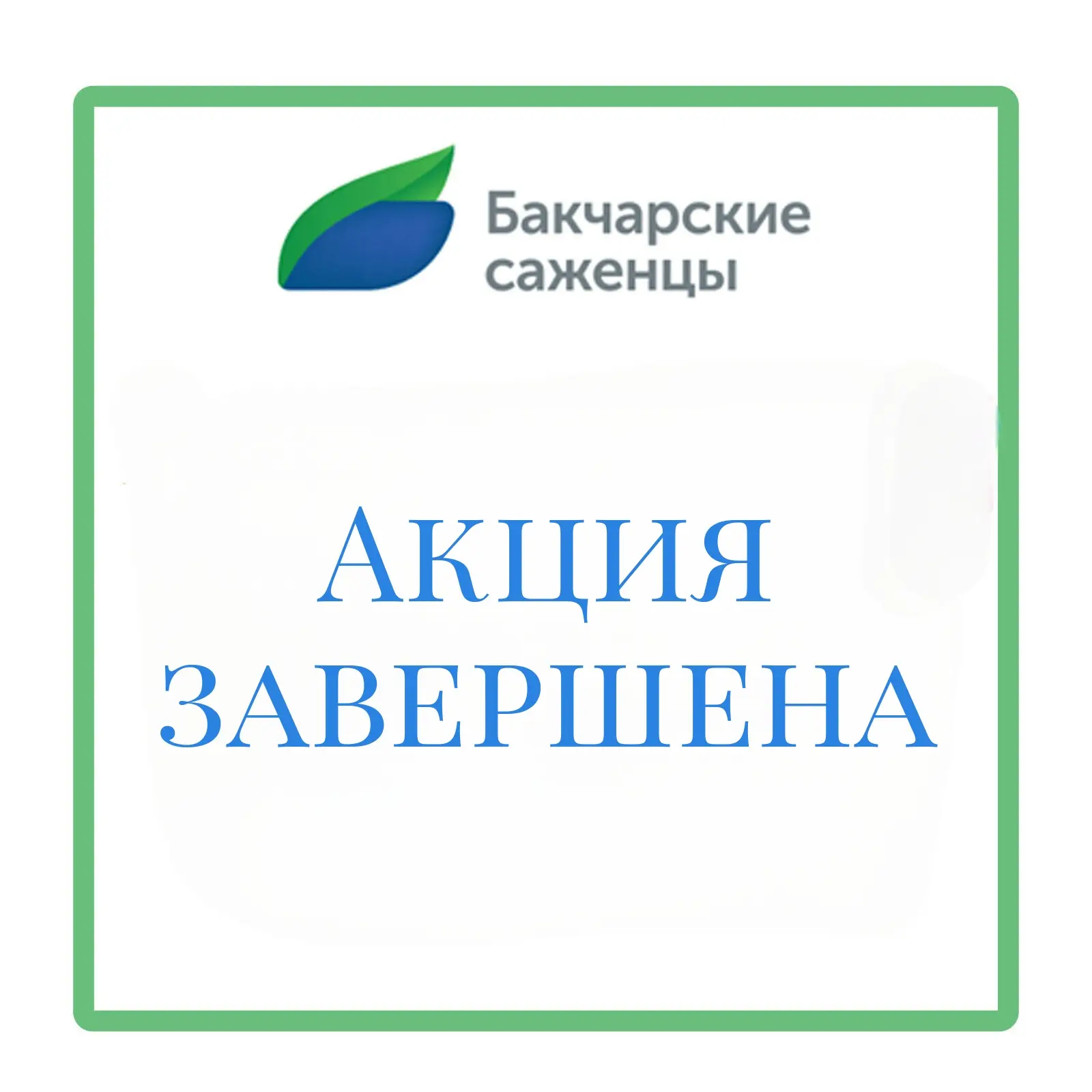 Акция «Жимолость: выгодное вложение» завершена 🍃
