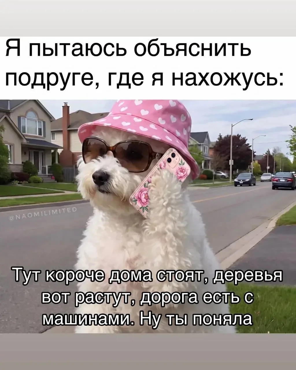 Счастливые открытки 💌
