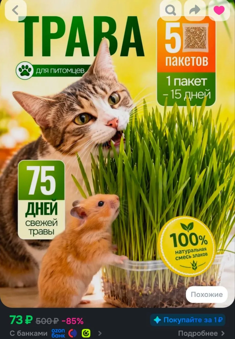Трава для питомцев