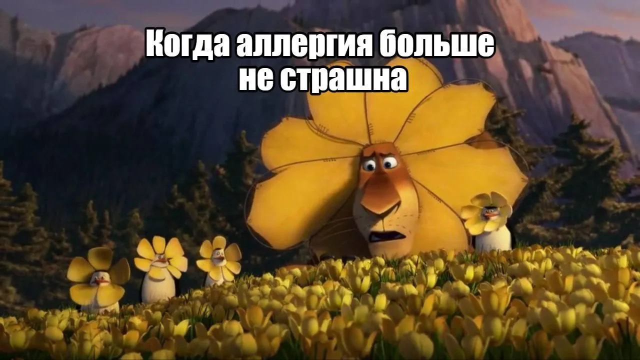 Знакомо ли вам, когда апрельское цветение превращается в ад, а яблоко приходится есть с...