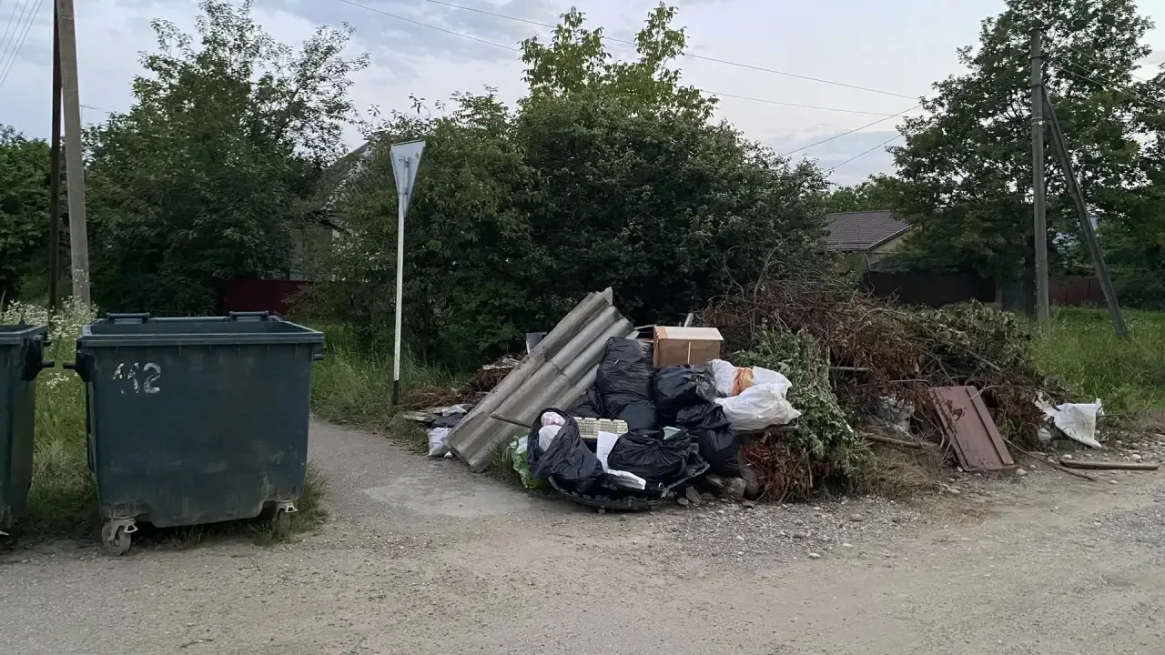 🗣️На пересечении всех улиц по Фрунзе возле каждого бака сложилась следующая обстановка...