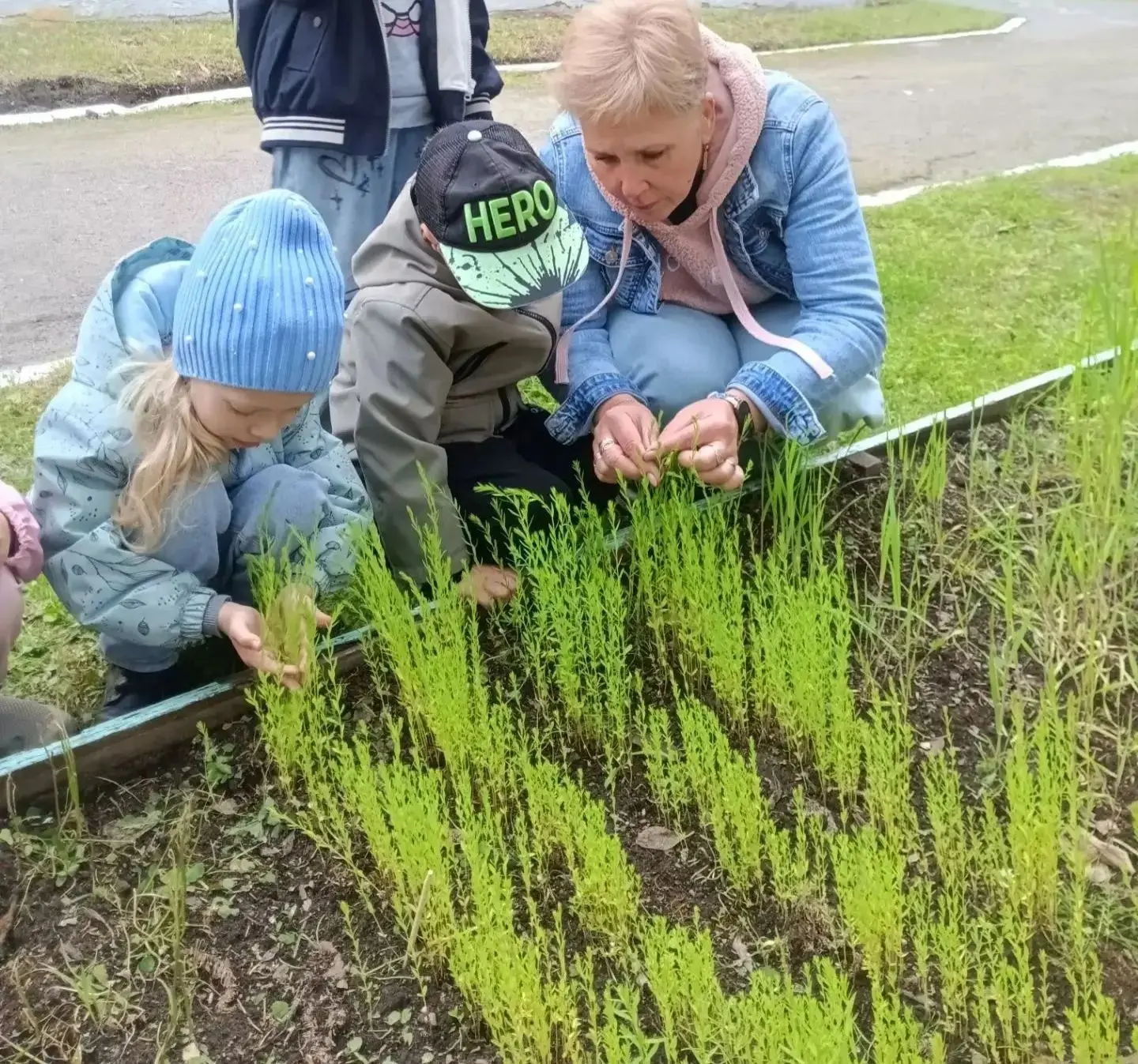 Маленькие агрономы группы «Ромашка» подводят итоги лета! 🌾