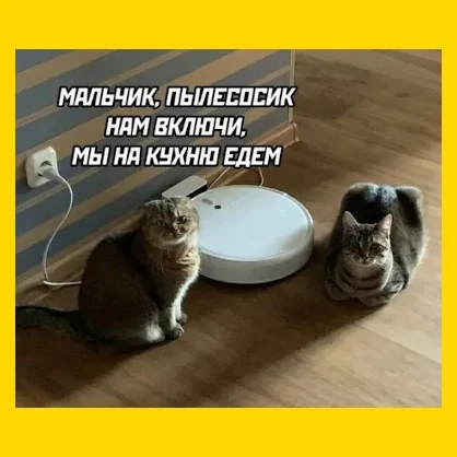 Полный Хохотамбл! Подпишись скорее