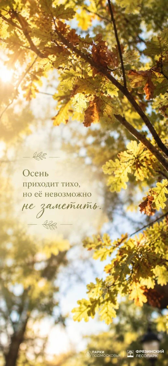 🍁 Осень во Фрязинском лесопарке