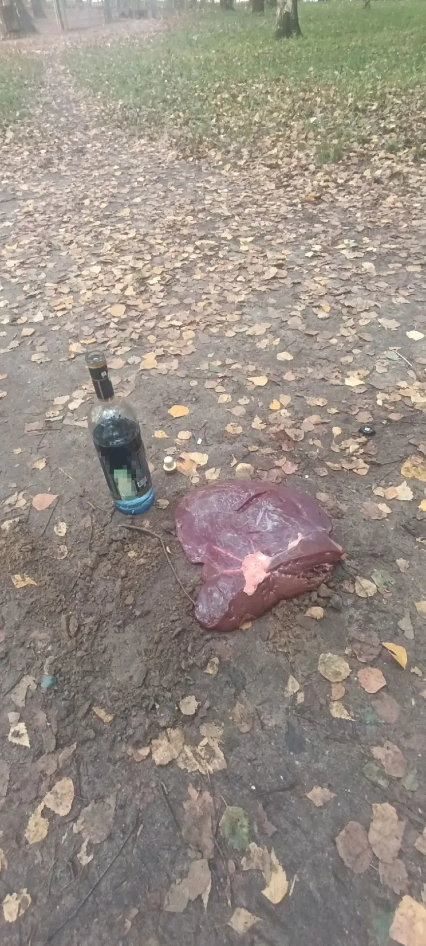 Вот такой арт-объект встретил нас в роще на Космонавтов возле клетки для выгула собак 🤬