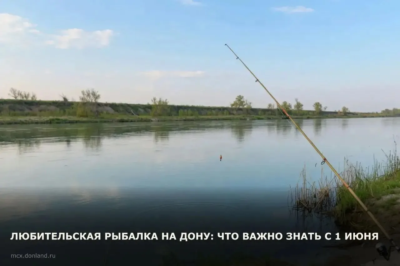 С 1 июня в Ростовской области снимается часть ограничений на рыбную ловлю, действовавши...