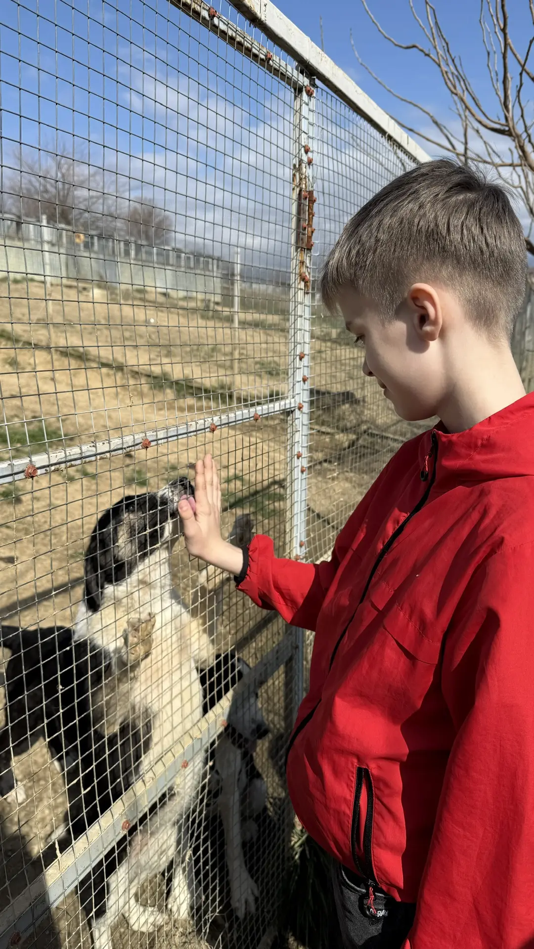 Делаем добрые дела вместе! 🐾  Сегодня ученики нашей школы совершили маленькое, но очень важное путеш