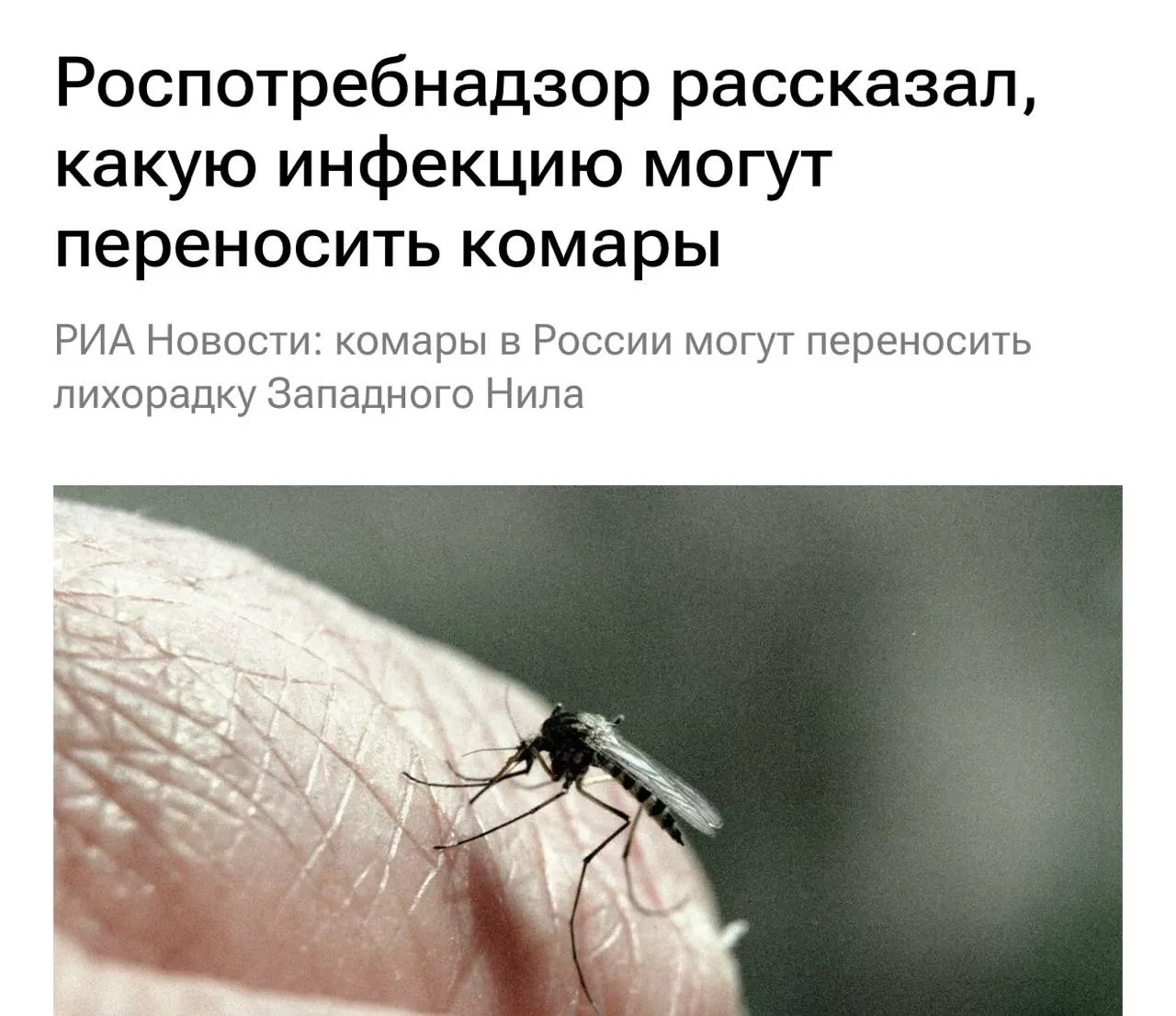 А вот это уже не весело: комары в России могут переносить лихорадку Западного Нила 🦟
