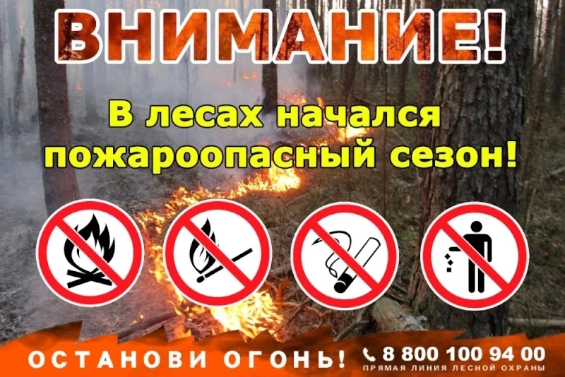 ❗️❗️❗️Кировчанам напомнили, как не допустить пожара в жаркую погоду