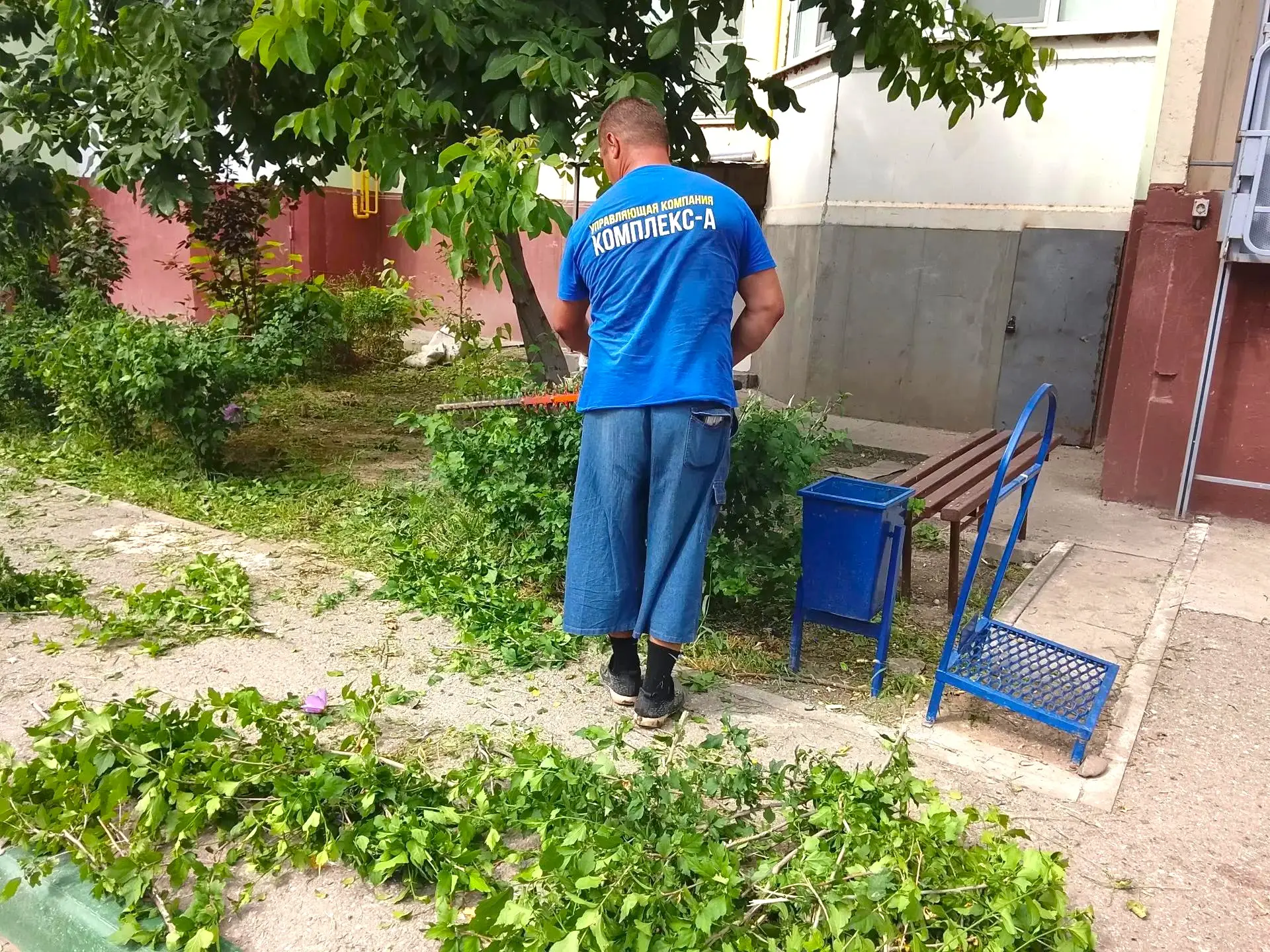 К новости «✂️ 🌿 Форма имеет значение:»
