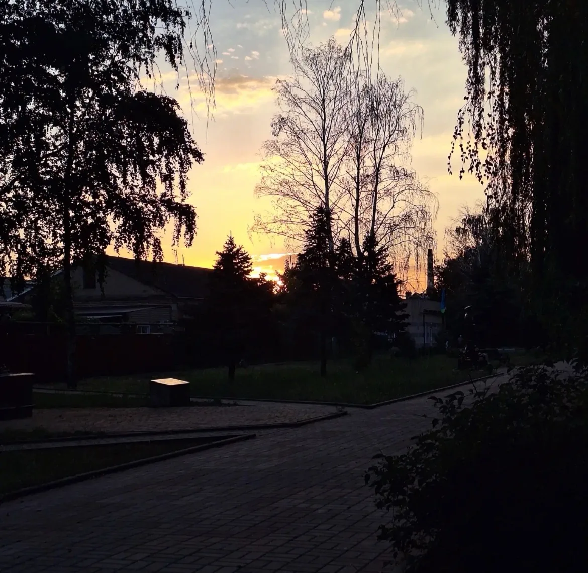 Доброй ночи 🌙😴
