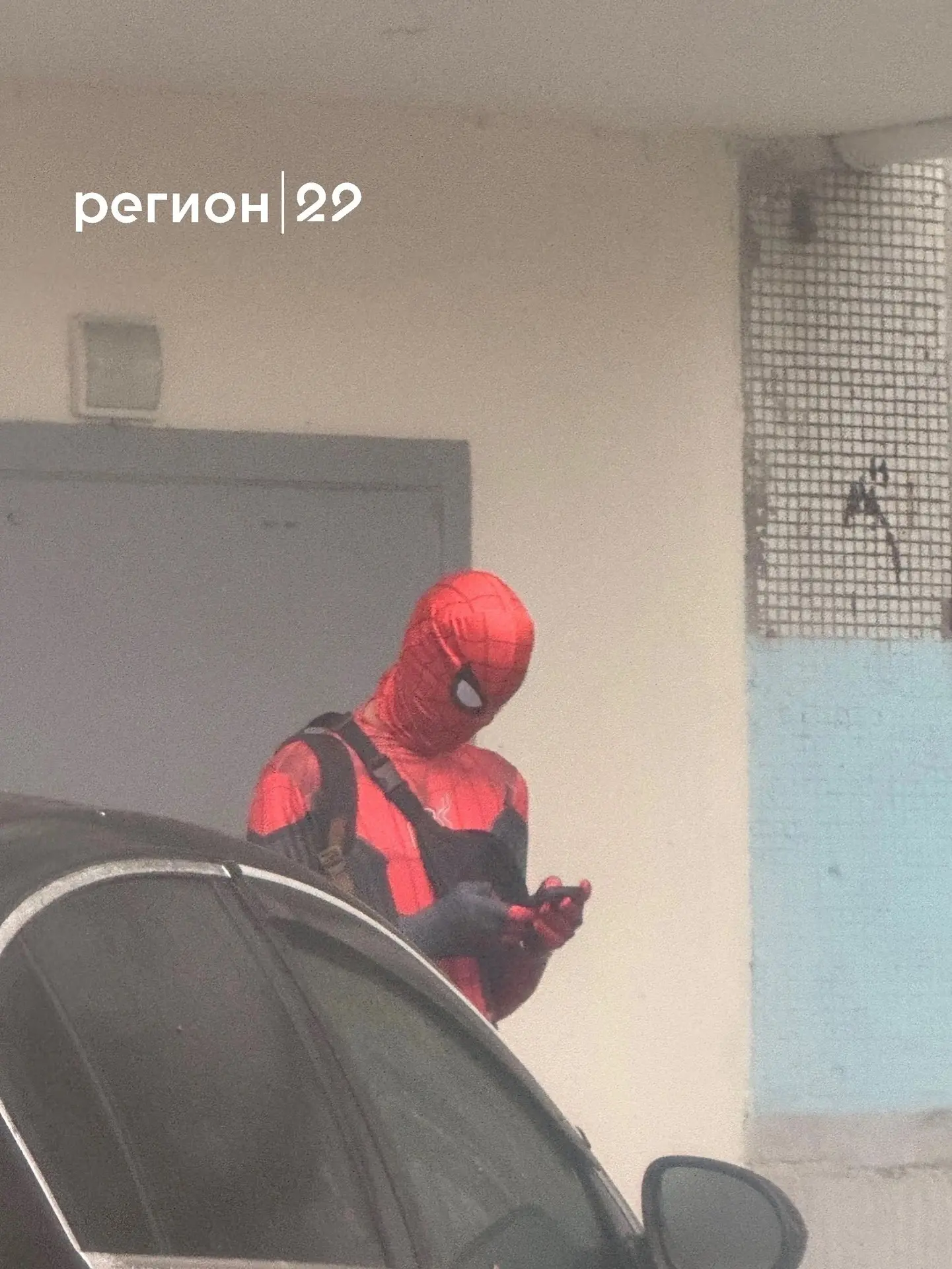 В Архангельске — нашествие человеков-пауков! 🕷️🕸️
