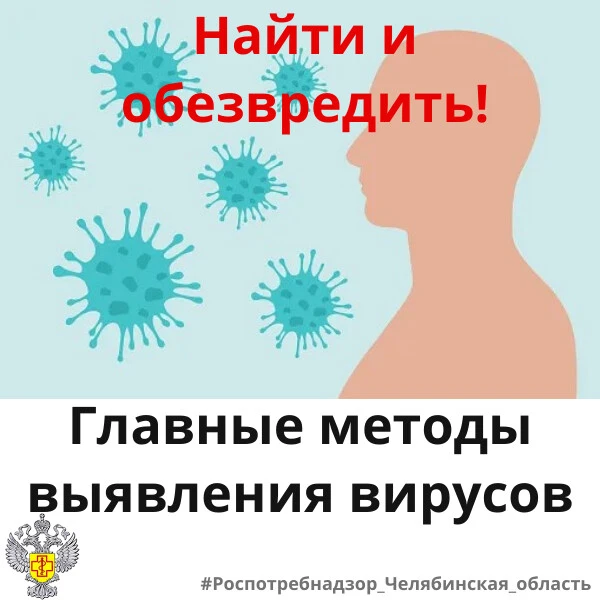 #санпросвет