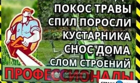 89043878649