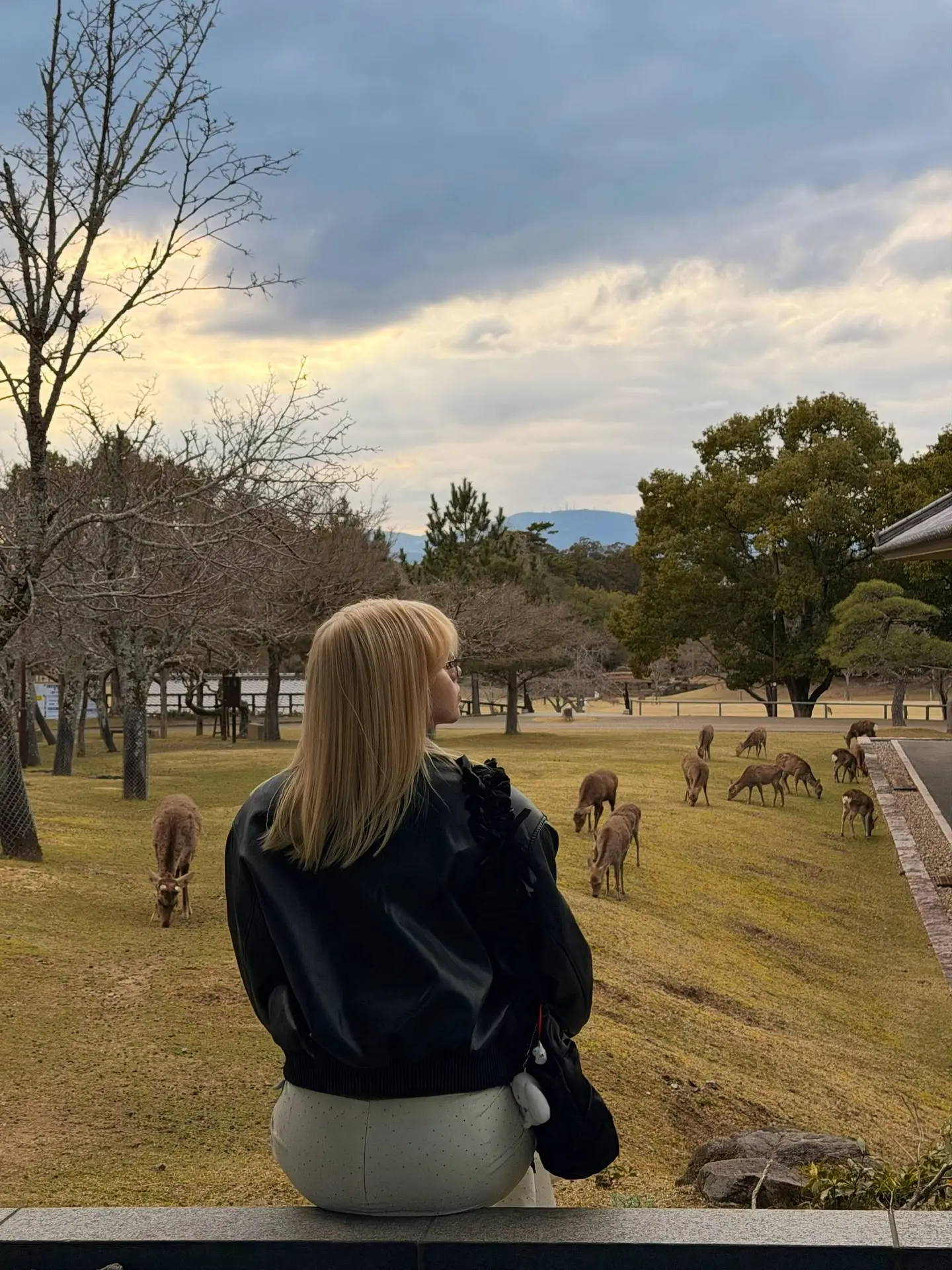 моё волшебное посещение парка «Нара» 🦌