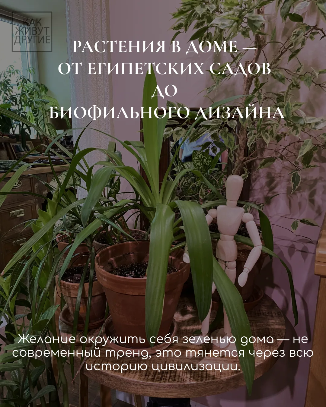 Растения, то без чего сложно представить себе интерьер. Даже в самом минималистичном дизайне найдетс