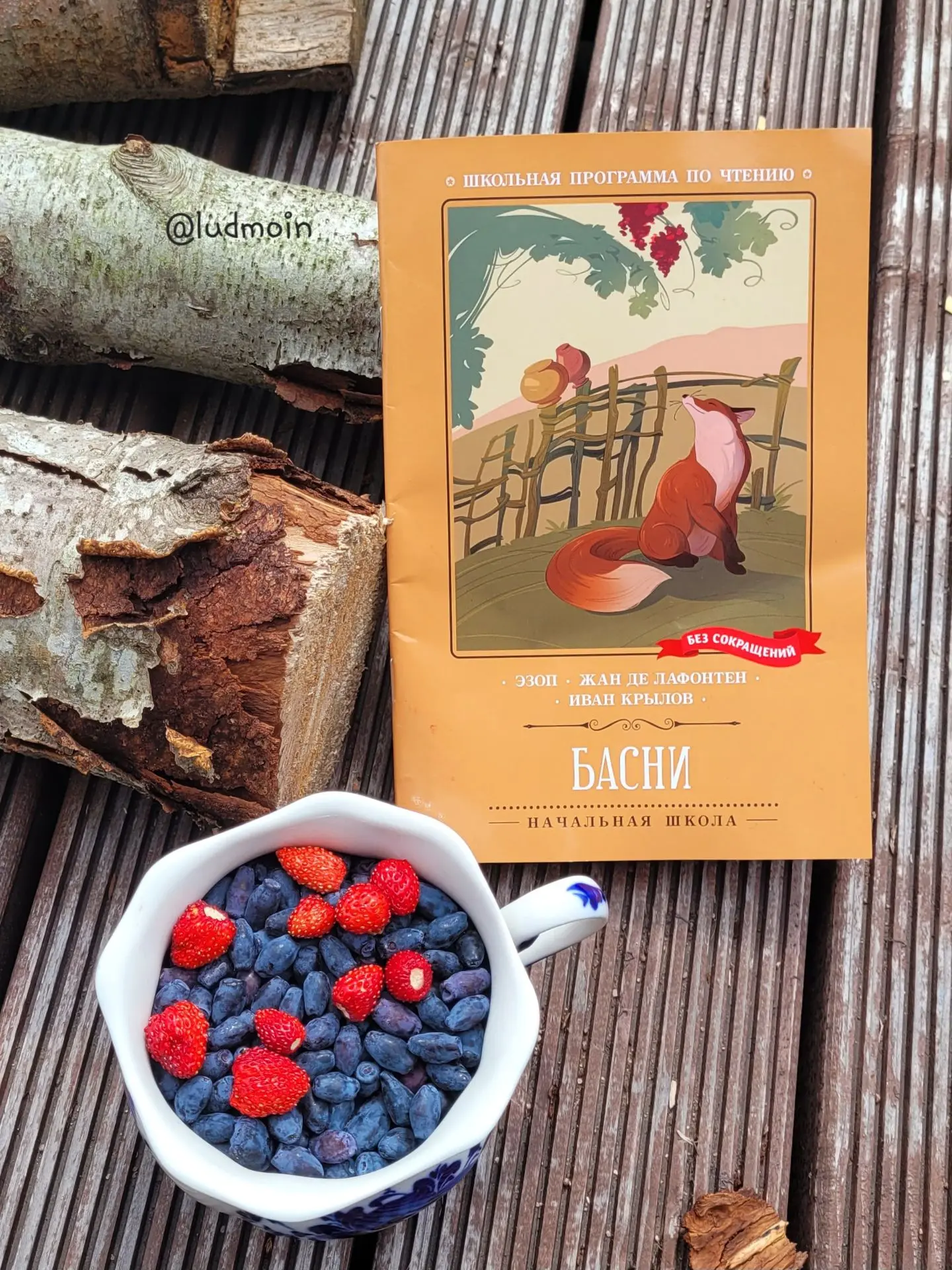 С утра все были при деле 😁📚🌿