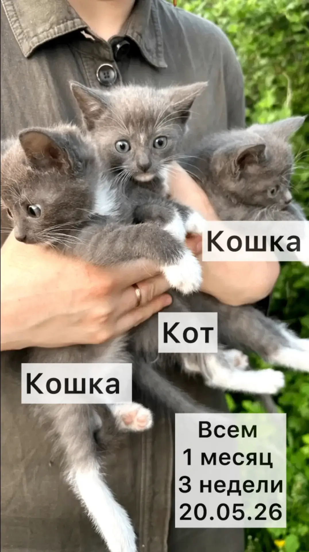 Я снова к Вам, мои дорогие читатели, по вынужденной ситуации! Очень нужно найти новый д...