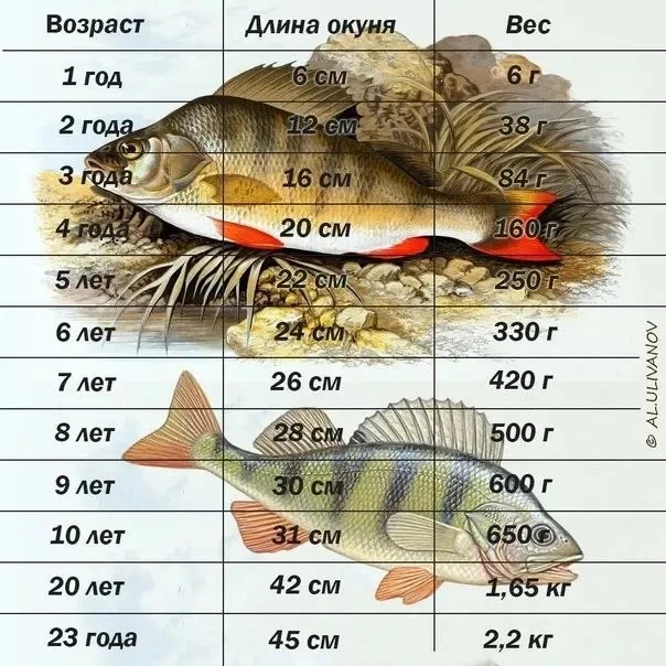 Берем на заметку! 🗒️