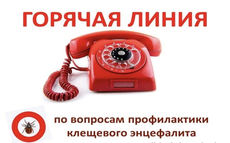 О Всероссийской горячей линии по профилактике клещевого