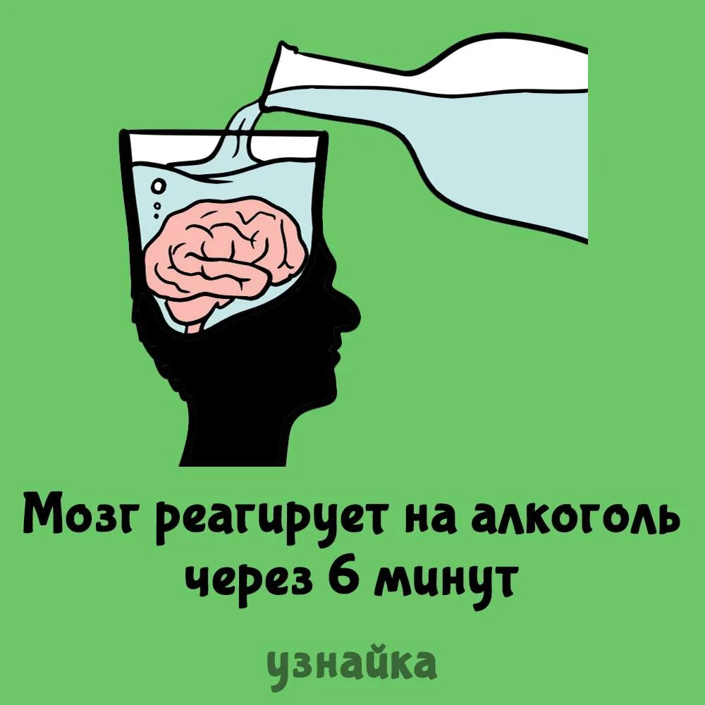 🧠